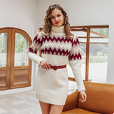 Turtle Neck Knitted Dress